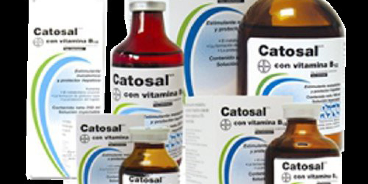 El significado cuando la ruda en el hogar se seca, según el feng shui