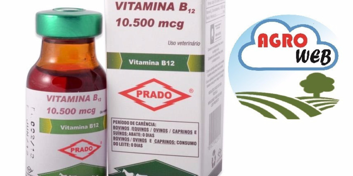 Las Mejores Marcas Comerciales de Vitamina B12: ¡Descubre cuál es la mejor opción para ti!