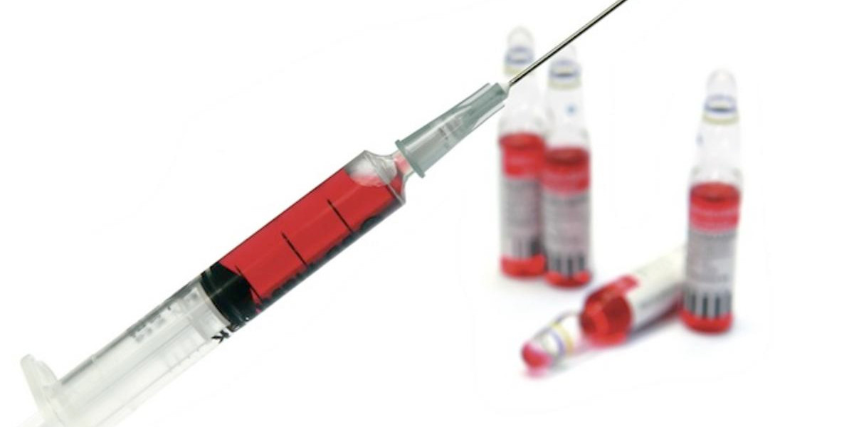 Guía completa de cuidados para la planta de ruda: todo lo que necesitas saber