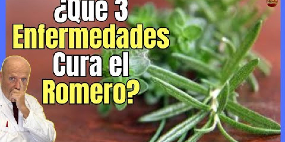 Descubre el Romero: Propiedades, Beneficios y Usos de Esta Maravillosa Hierba
