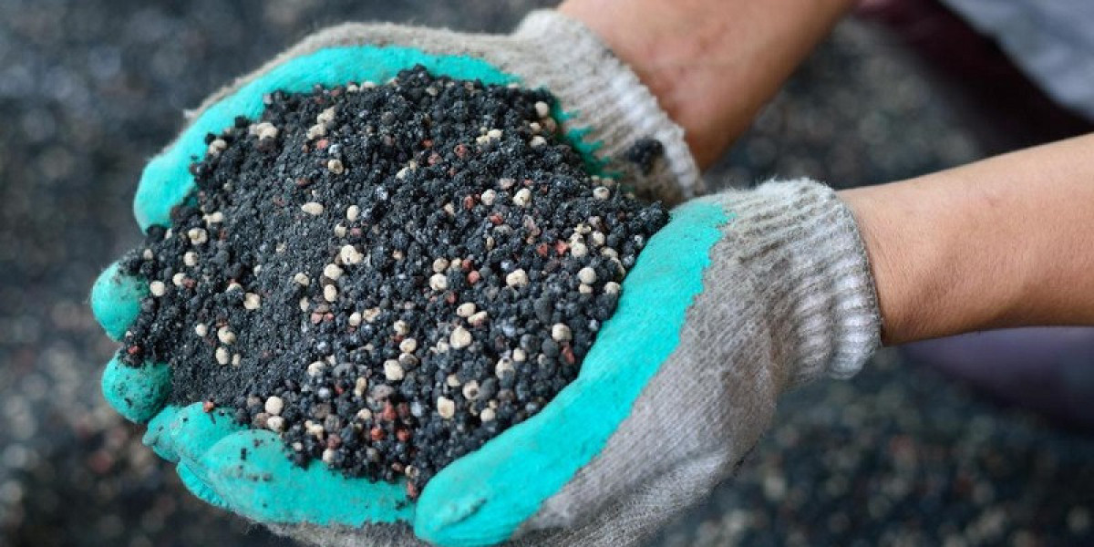 Cách chăm sóc mai trước và sau Tết để hoa nở đúng dịp và luôn tươi tốt