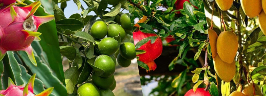 Celgen Biotech Cover Image