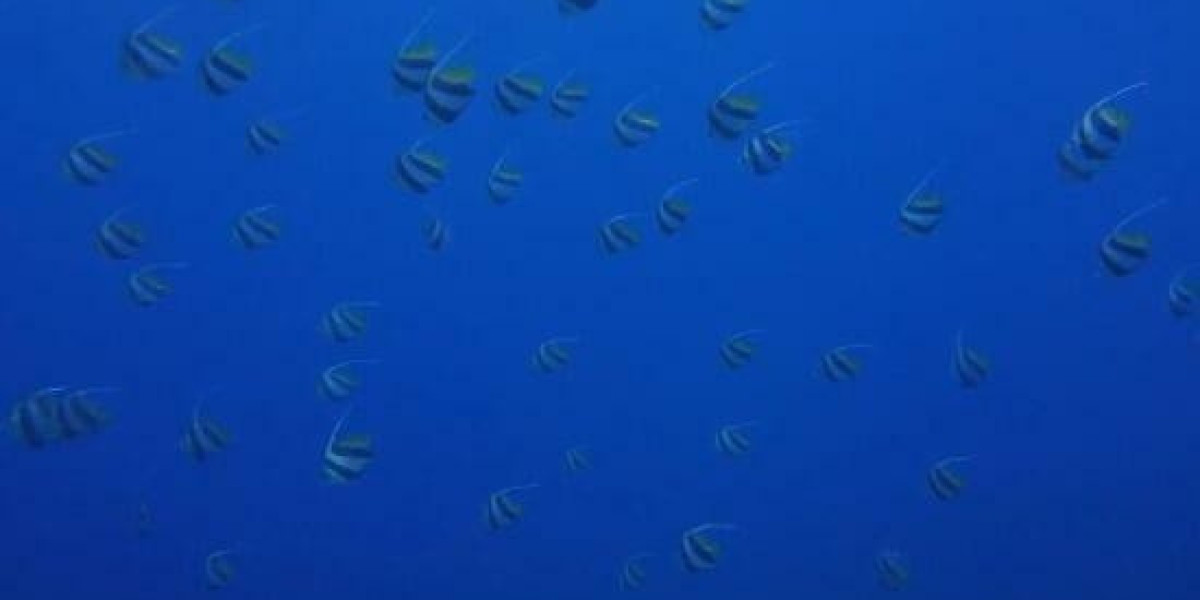 Bet9Ja Promotion Code 2025: YOHAIG - January 2025 ₦100K Bet9ja Welcome Bonus