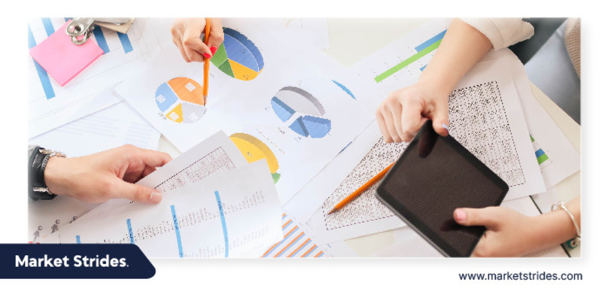 Battery Management System Market Analysis and Growth Projections, 2025-2033