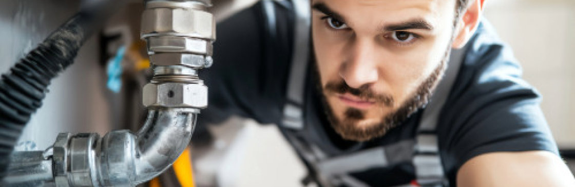 Spolbilarna Cover Image