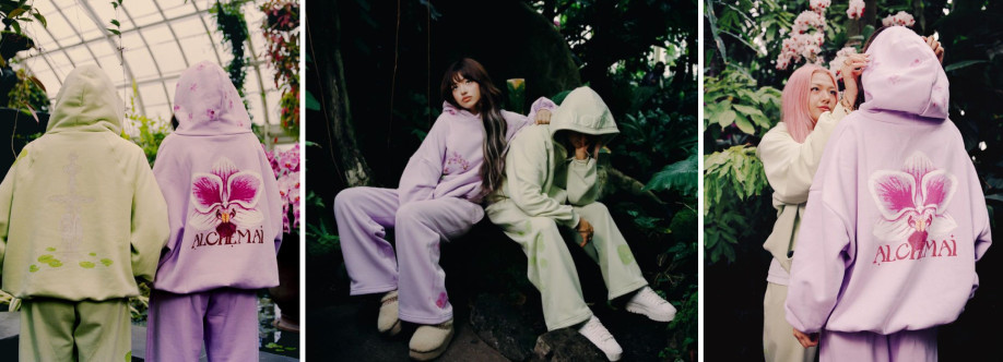 Alchemai Hoodie Cover Image