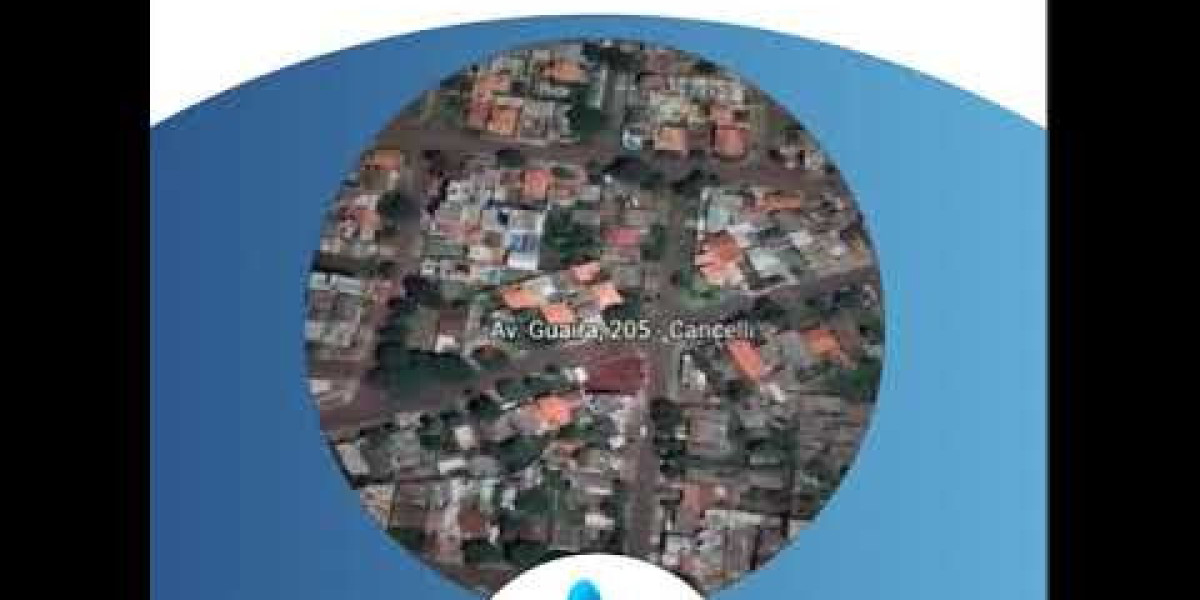 Mantenha os Rins do Seu Cão Saudáveis: Dicas para Prevenir Doenças Renais