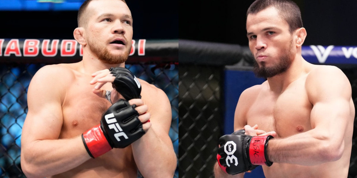 Прогнозы бокс.