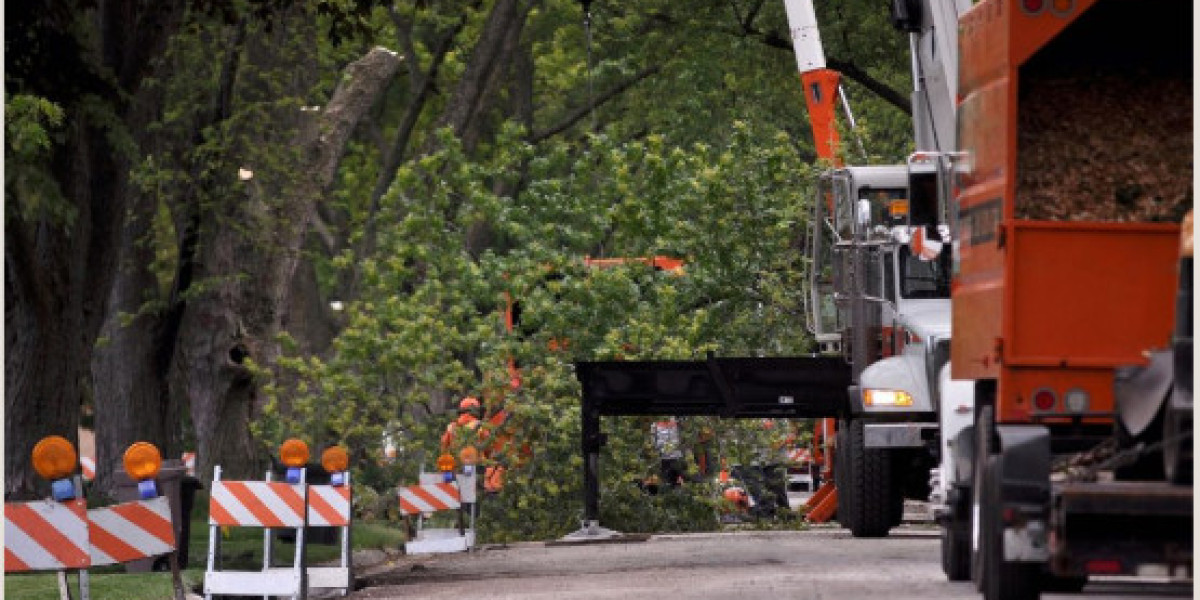 Fast & Reliable Emergency Tree Removal Services – Available 24/7