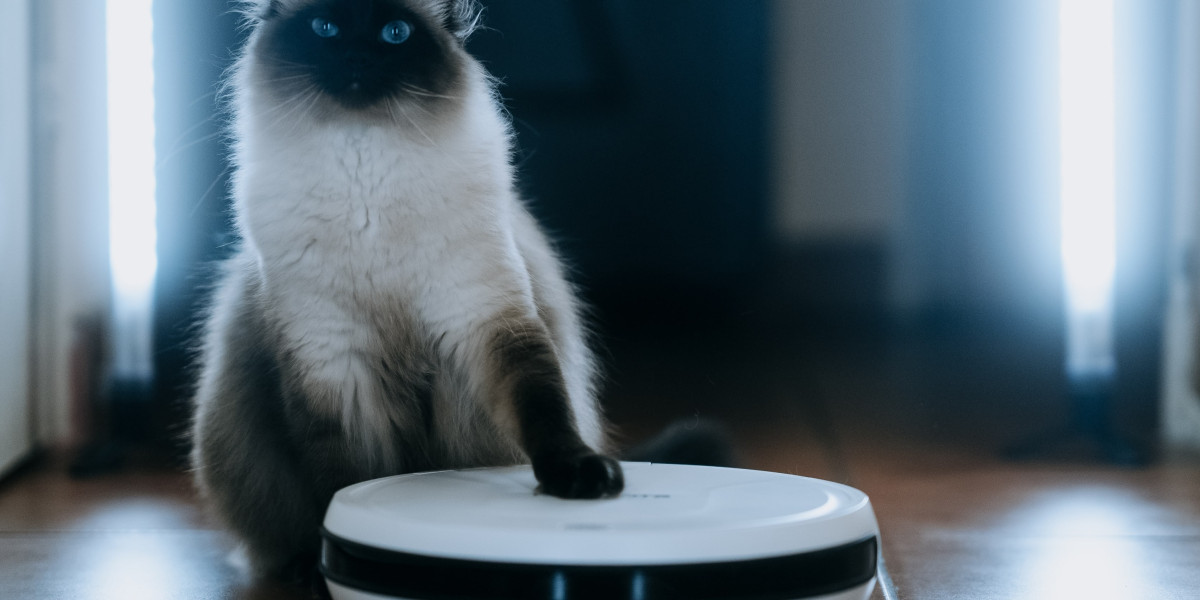 Seven Explanations On Why Best Budget Robot Vacuum Is So Important