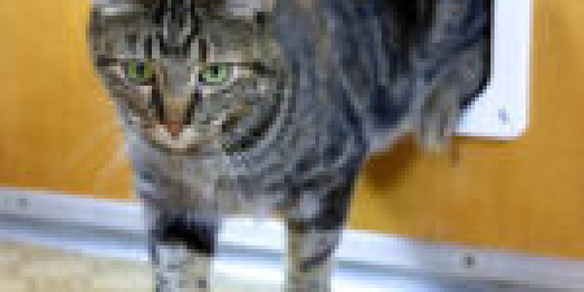 This Week's Best Stories About Cat Window Flap Installer Cat Window Flap Installer