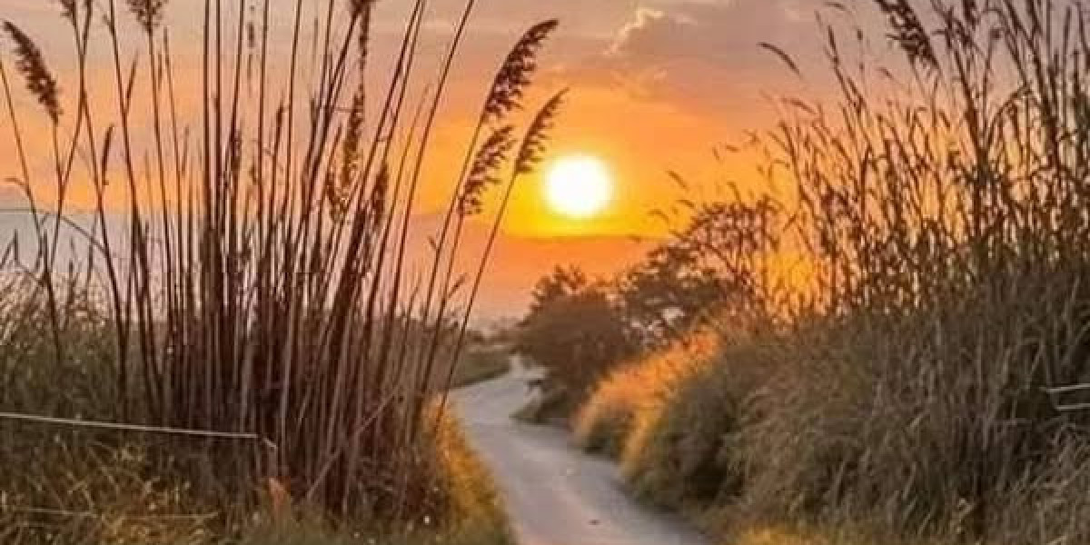 Amanda Zahui B. Gets Might WNBA Cares Area Assist Honor Offered By State Farm