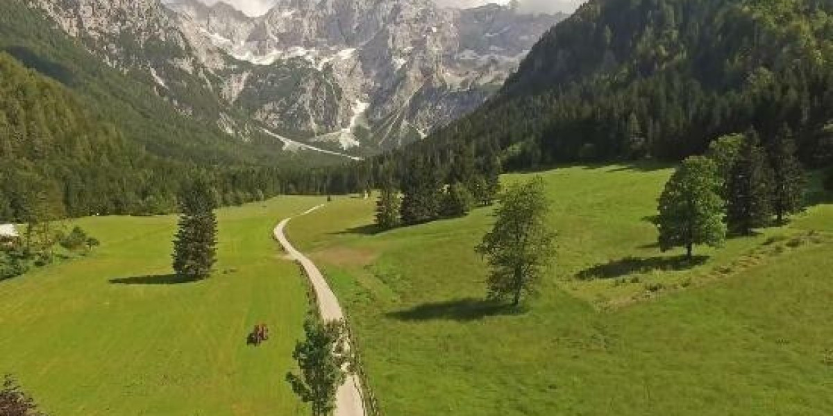 Office Of Patient Recruitment