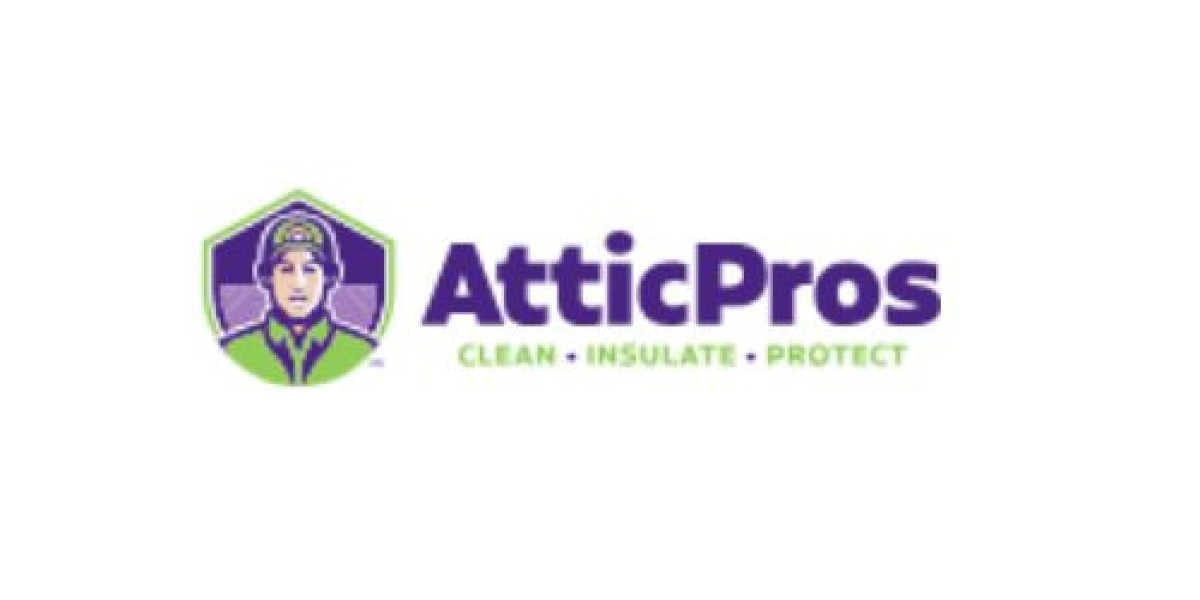 Why Hiring a Professional Attic Cleaning Company Is Essential for a Healthy Home