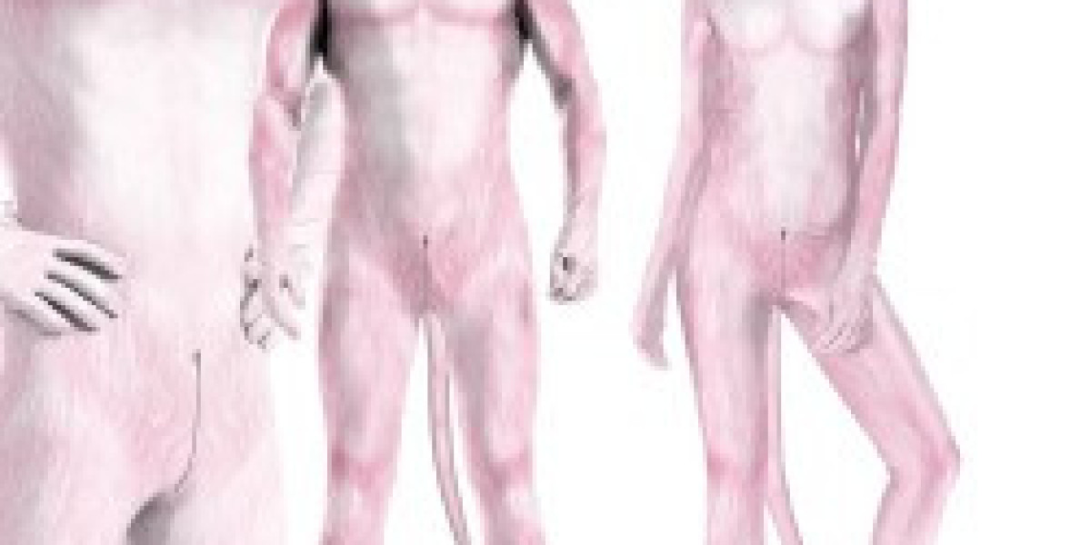 strap on sex toys hn425