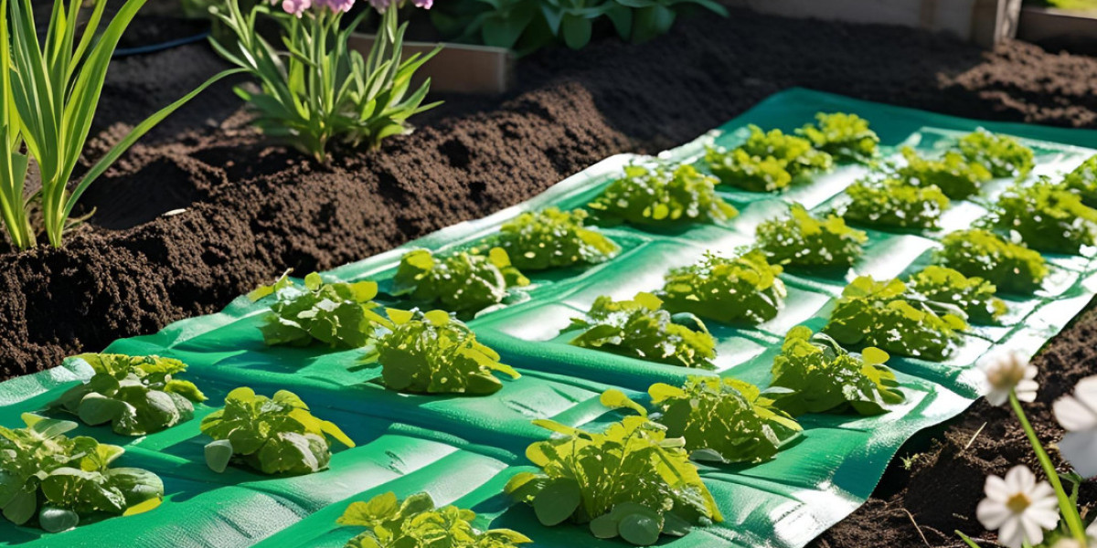 Enhance Your Garden’s Health with the Right Weed Mat