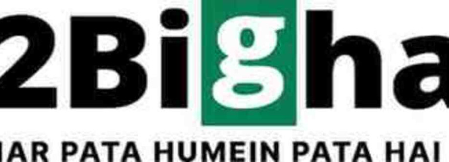 Palms and Pebbles Cover Image