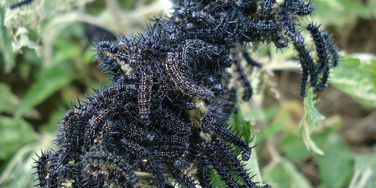 περισσότερες συμβουλές