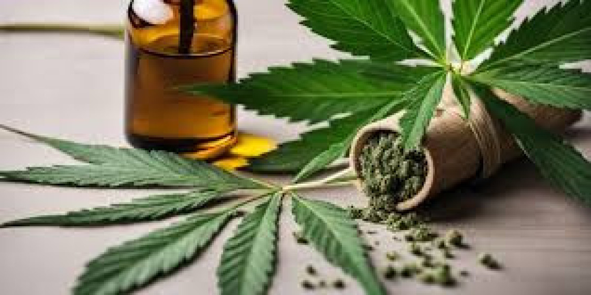 Pourquoi le CBD La Teste-de-Buch séduit de plus en plus ses habitants ?