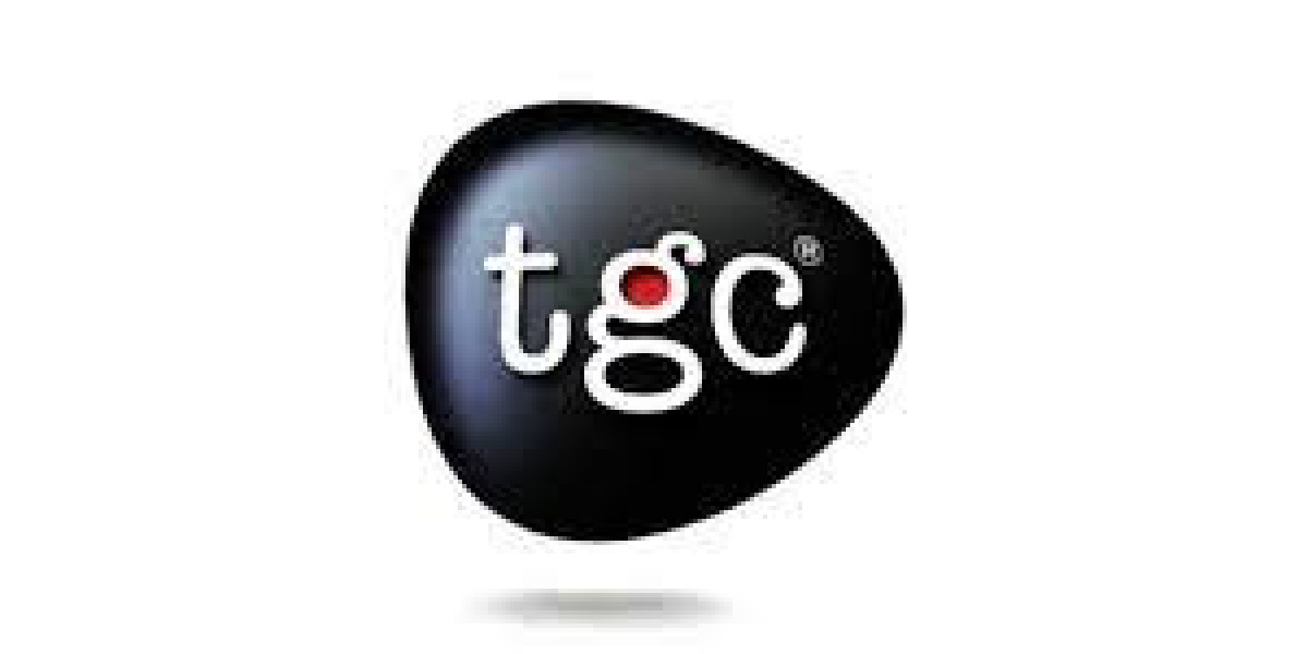 Expert-Led Web Design Course in Jaipur with Career Guidance