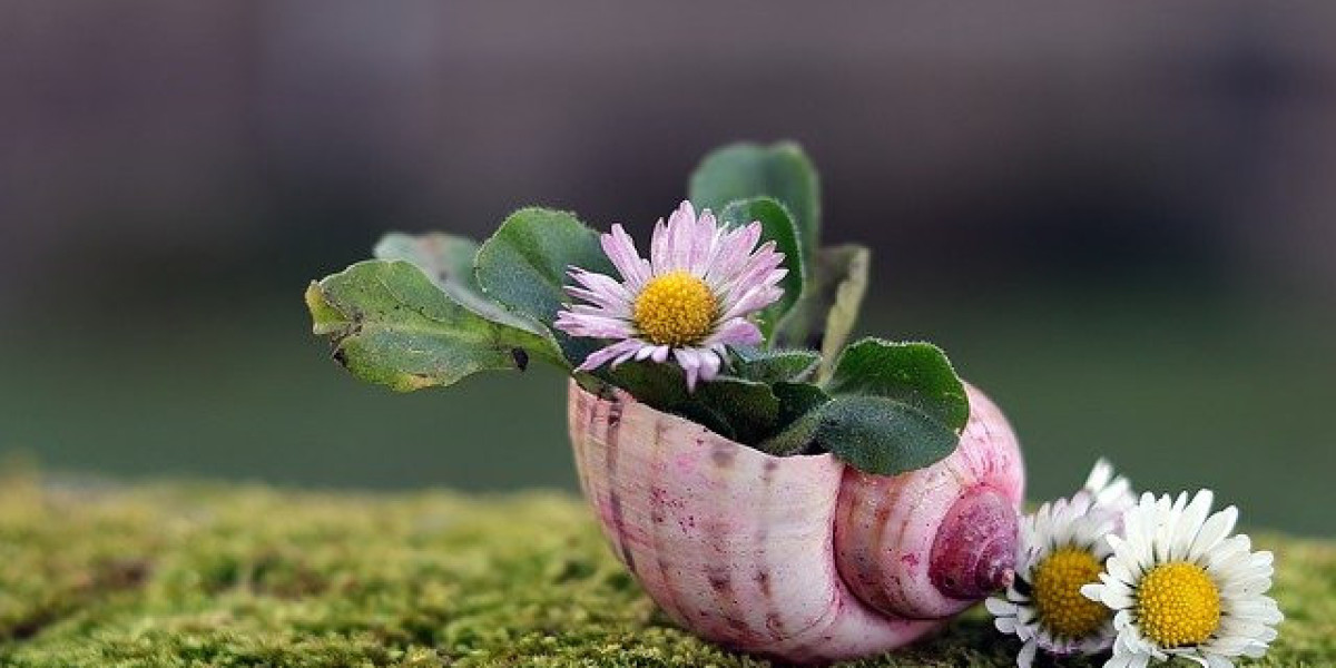 Recursos adicionales