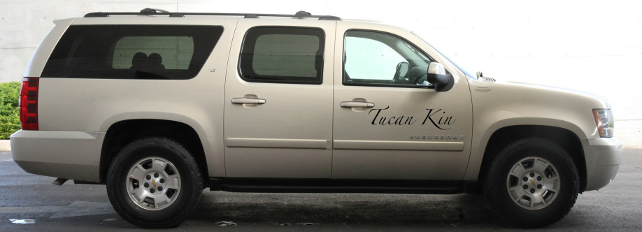 Tucan kin Tulum Transfers Cover Image