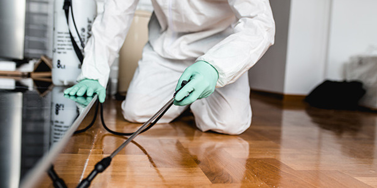 Why Every Home Needs a Strong Pest Prevention Plan
