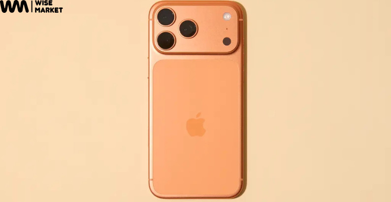 wise market Profile Picture