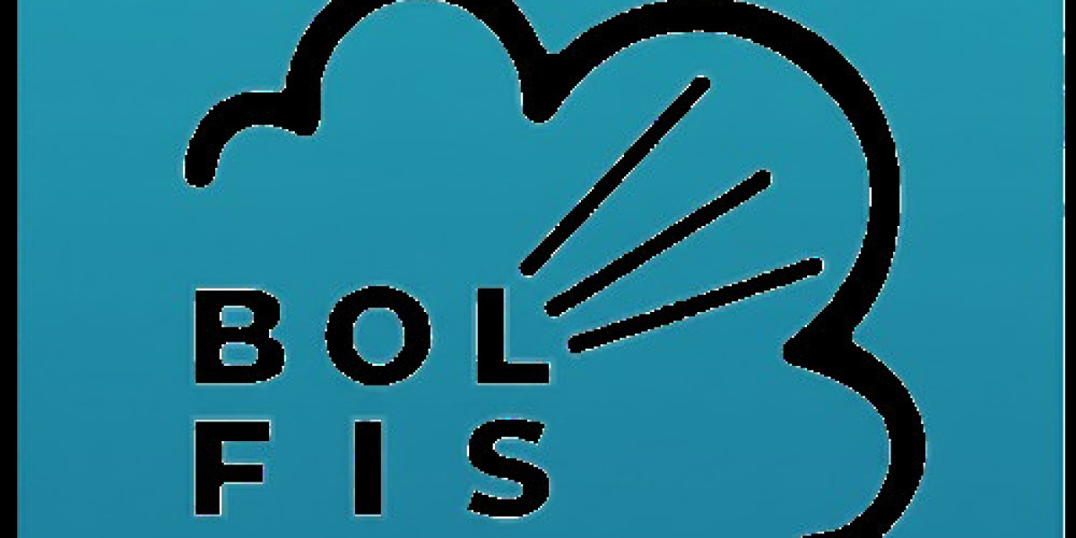 Professional Apartment Cleaning Service in London – Bolfis Cleaning