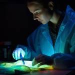 Guest Post Writer Profile Picture