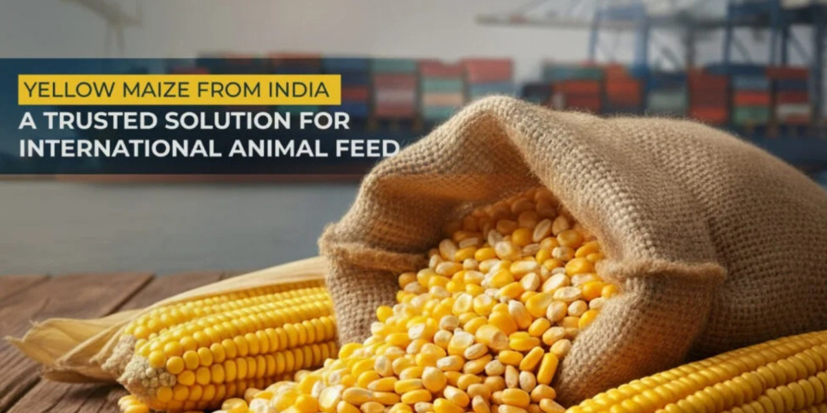 Yellow Maize from India: Trusted Export Solution for Animal Feed  