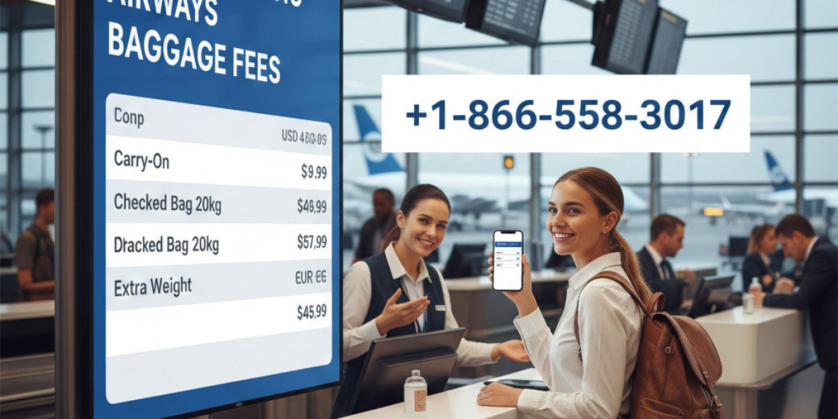 Norse Atlantic Airways Baggage Fees Explained for Smart Travelers