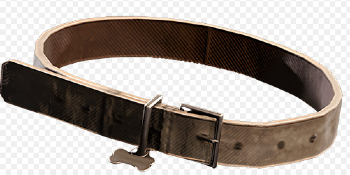 What is the Dog Collar in ARC Raiders?